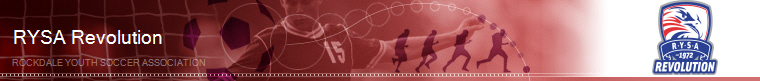 Georgia Soccer banner